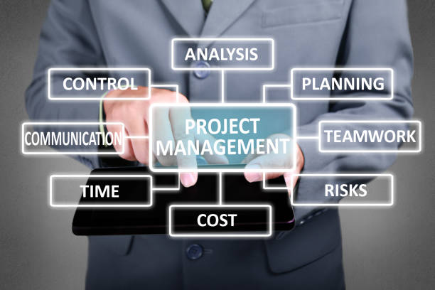 Remote project management consultant positions