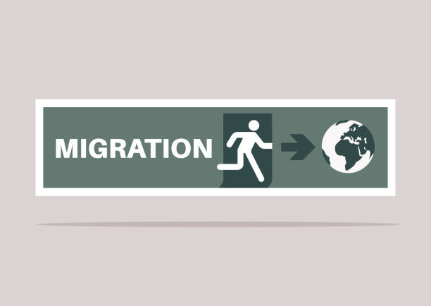 Immigration policy changes 2024